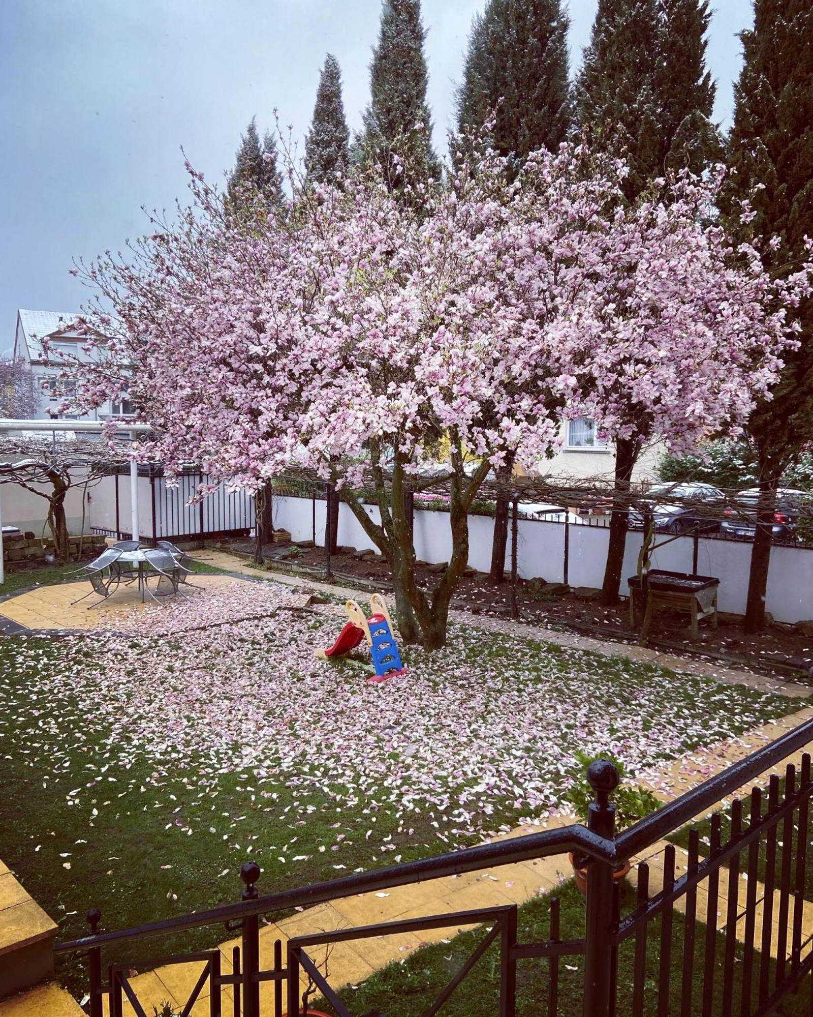 באד קרוצינגן Hotel Hofmann Zur Muehle מראה חיצוני תמונה